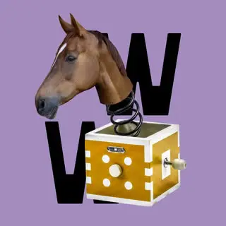 WW - Evenementen